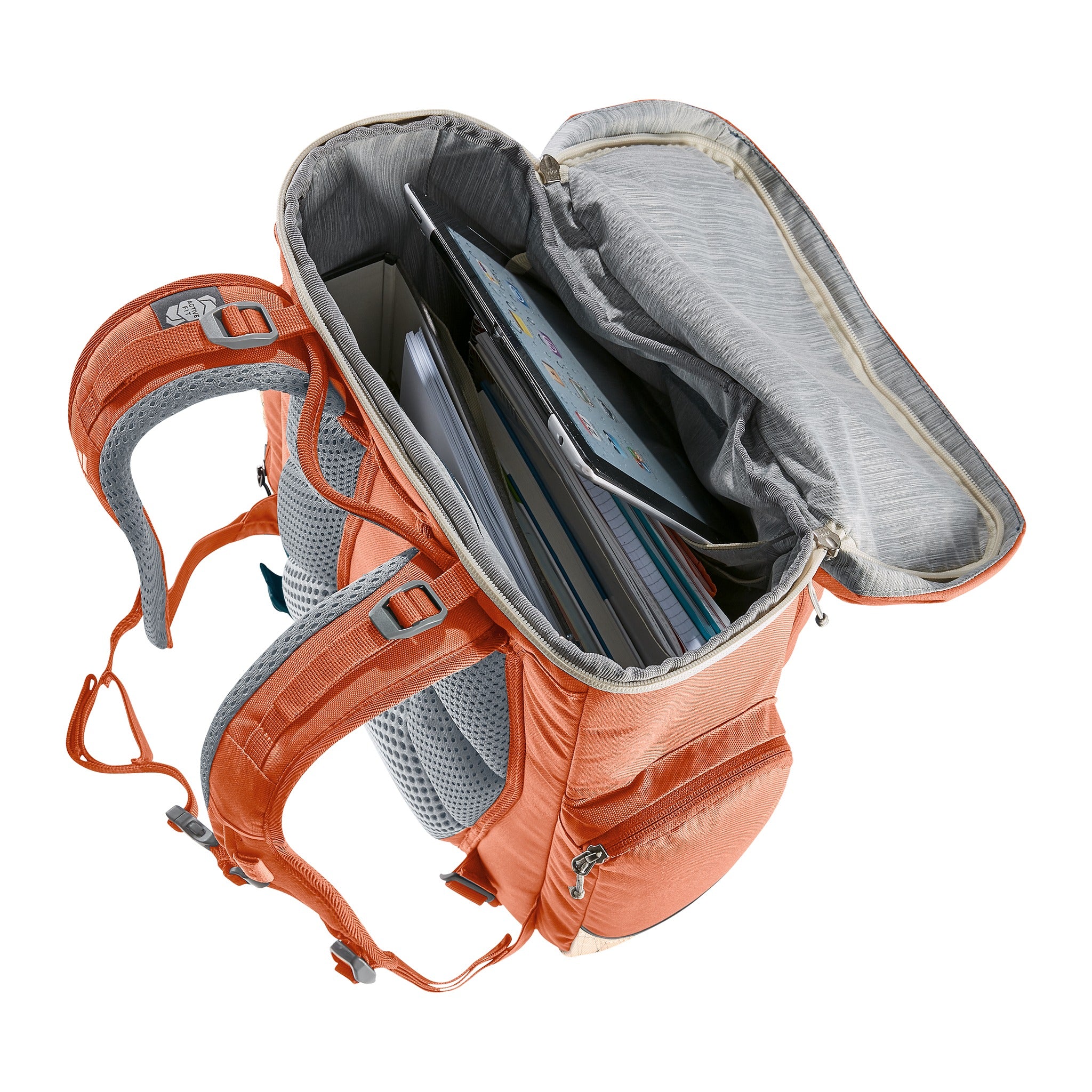 Deuter Schulrucksack Scula chestnut-blush micado