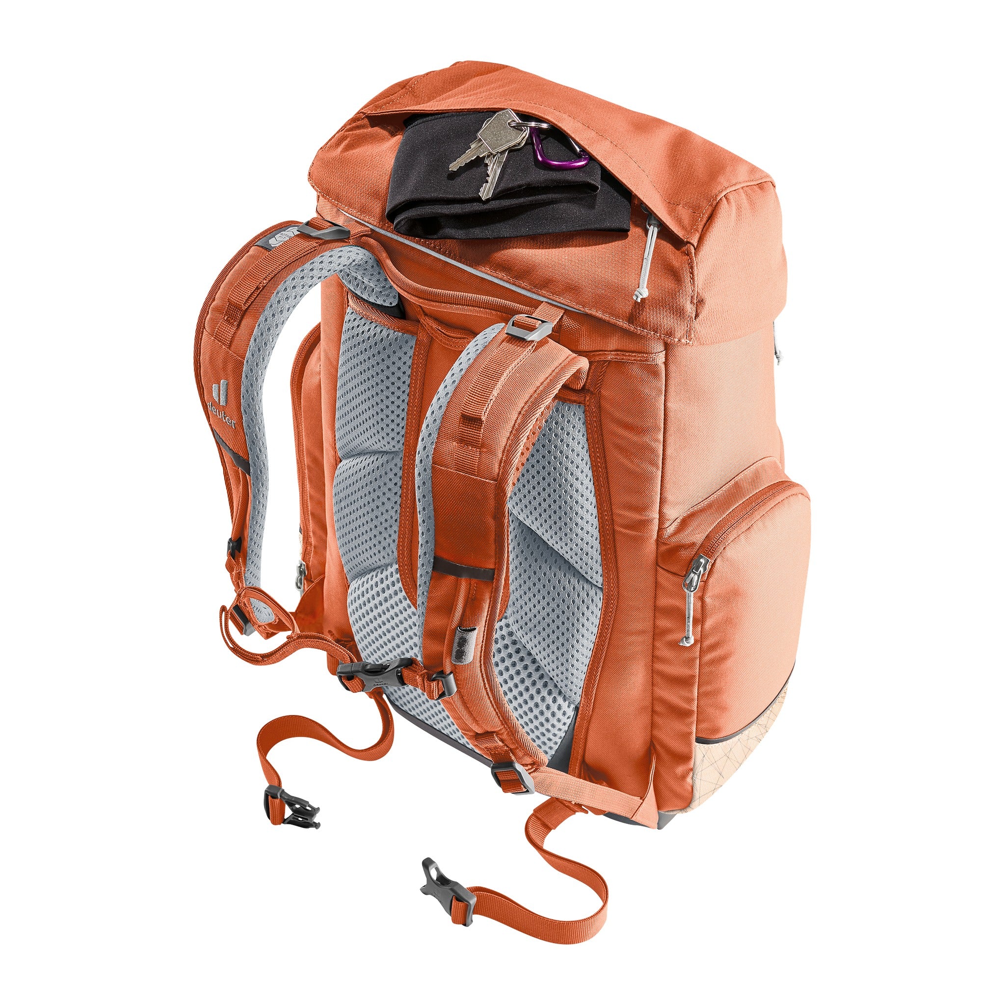 Deuter Schulrucksack Scula chestnut-blush micado